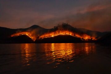 photo of wildfire on mountain